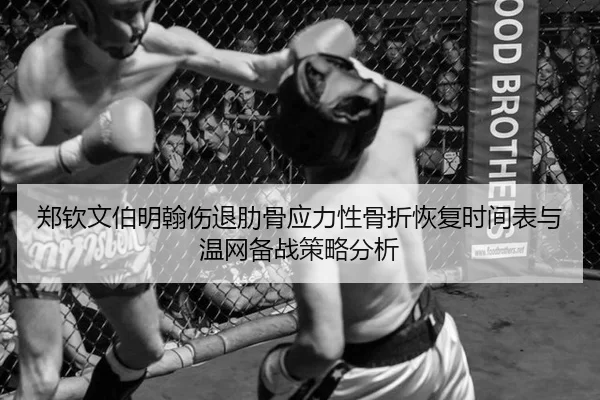 郑钦文伯明翰伤退肋骨应力性骨折恢复时间表与温网备战策略分析